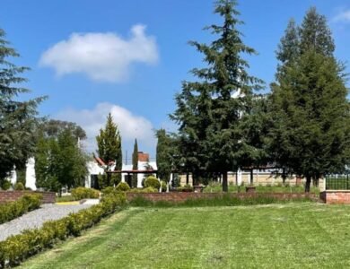 JARDINES JARDINES